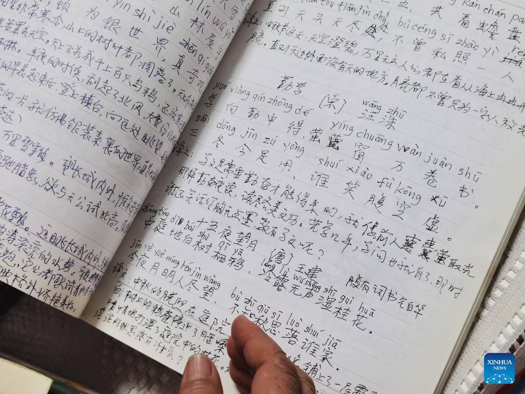 十大彩票平台