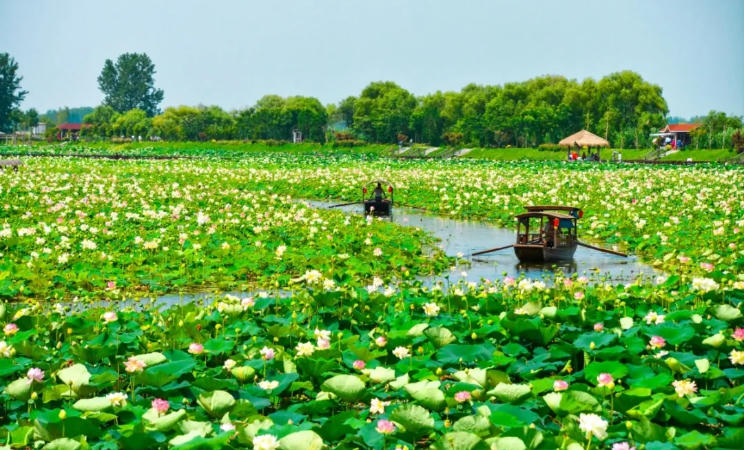 Jiaogang Lake Summer Cultural and Tourism Feast Starts